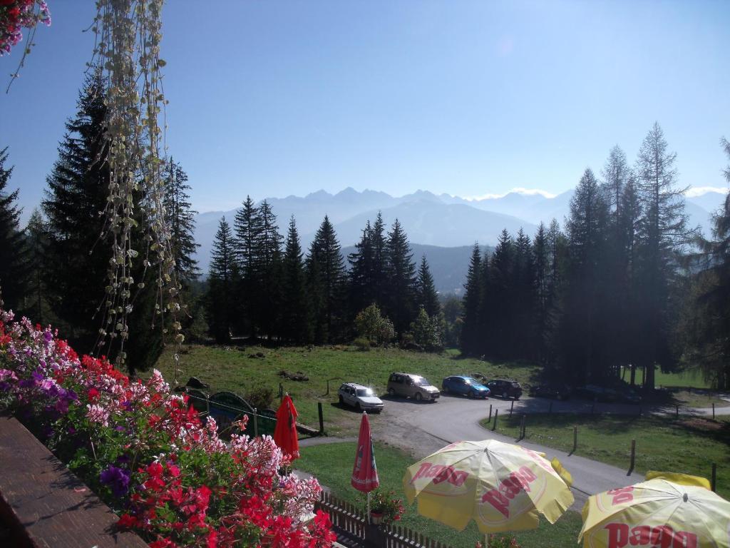 Gasthof Edelbrunn Hotel Ramsau am Dachstein Bagian luar foto