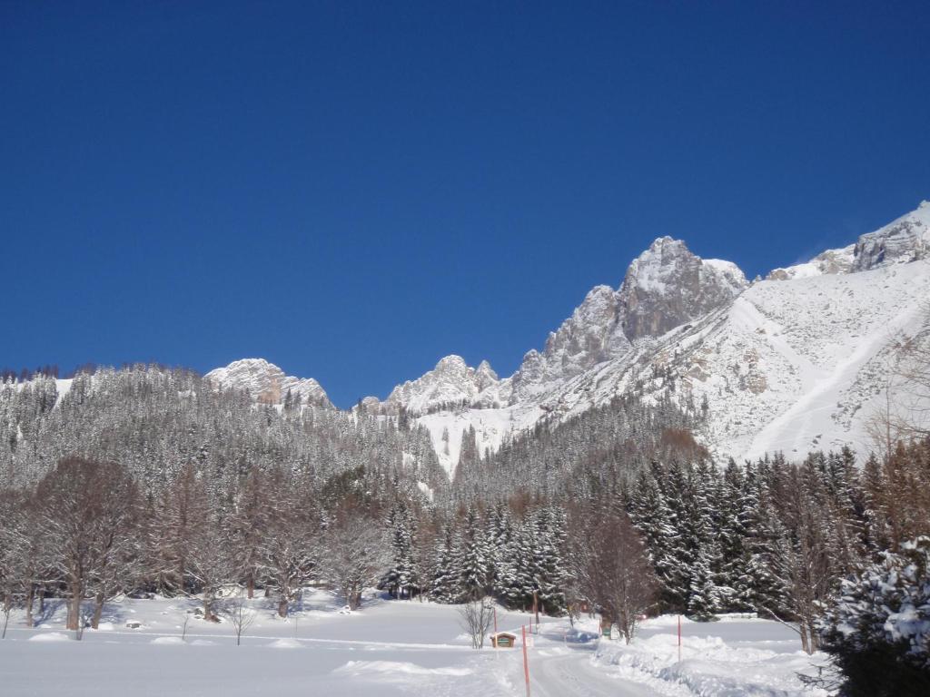 Gasthof Edelbrunn Hotel Ramsau am Dachstein Bagian luar foto