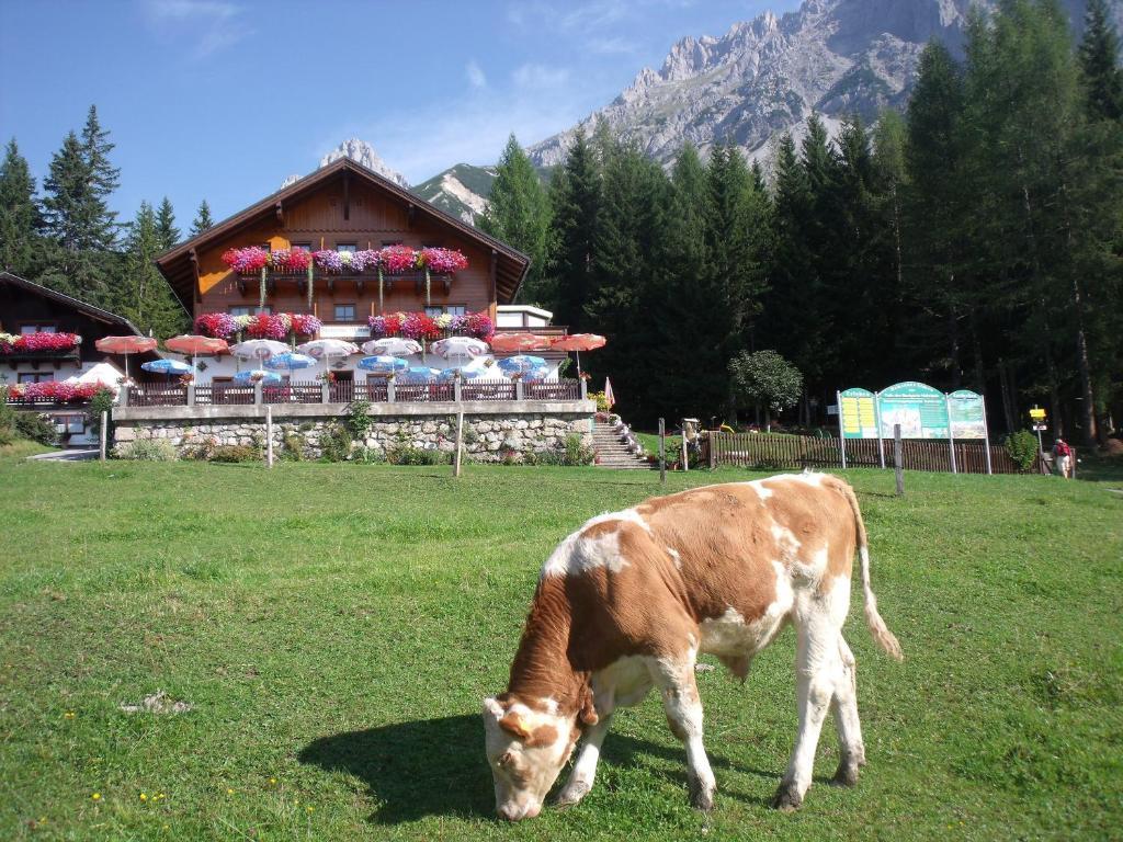 Gasthof Edelbrunn Hotel Ramsau am Dachstein Bagian luar foto