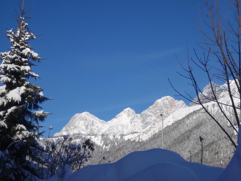 Gasthof Edelbrunn Hotel Ramsau am Dachstein Bagian luar foto